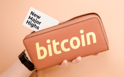 Bitcoin Fundamentals Hit New Major Highs Regarding New Wallets and BTC Transactions